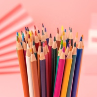 Lot de crayons de couleur en plastique personnalisables avec logo, 7 pouces, 12/24/36/48 pièces, pour étudiants, vente en gros, Lapis De Cor