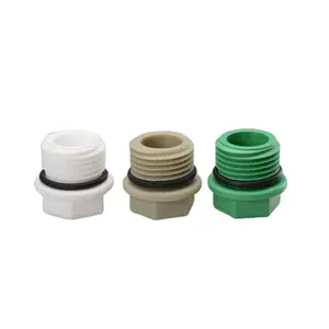Germany Standard Plastic PPR Water Pipe Fitting Plug