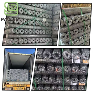 Lưới song phương hàng rào dây lưới mạ kẽm uốn lưới lục giác gà dây lưới mạ kẽm nhúng nóng dây 5 10 25 50 100 - Product Image 5