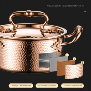 Yolecen 304 ba lớp thép bơm hơi nhỏ lẩu hộ gia đình thương mại một người bếp cảm ứng bếp gas phổ quát - Product Image 2