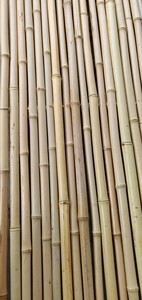 Bon marché, canne de clôture en roseau en bambou naturel de 6 <span class=keywords><strong>pieds</strong></span> pour jardin, balcon, arrière-cour et ferme - Product Image 2