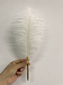 <span class=keywords><strong>Plume</strong></span> d'autruche naturelle antique <span class=keywords><strong>vintage</strong></span> pour <span class=keywords><strong>stylo</strong></span> - Product Image 6