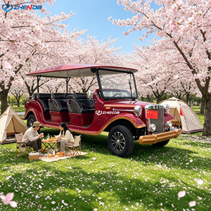 Auto Elettrica Retrò Vintage a 6 Posti per Giro Turistico, Ideale per Club, Resort e Decorazioni Matrimoniali - Product Image 1