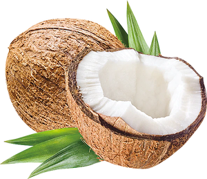 Großhandel raffiniertes Bio-Kokosöl extra kalt gepresster Lieferant Bester Preis auf Lager Günstiger Preis Schnelle Lieferung - Product Image 4