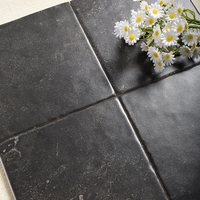 Carreaux de sol en porcelaine noir mat doré 200x200mm, antidérapants, résistants à l'usure, texture aspect pierre pour hôtels, villas et espaces familiaux