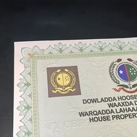 Certificat anti-contrefaçon personnalisé, papier de sécurité anti-contrefaçon, format A4, papier de marquage à chaud doré, certificat