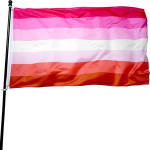 Nuevas Banderas del Orgullo Bisexual, LGBTQ, No <span class=keywords><strong>Binario</strong></span>, Lésbico, Gay y Transgénero, con el Arcoíris del Orgullo y la Lucha por el Progreso - Product Image 5