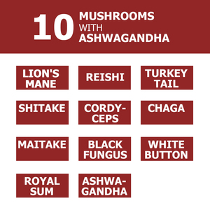 Хит продаж, экстракт грибов шиитаке, укрепляет память грибов Львиная Грива - Product Image 4