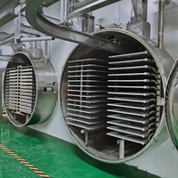 Tek Factory Verkoopprijs Industriële Vacuümvriesdroger 100kg OEM Commerciële Voedsel Lyofilisatie Apparatuur 10m2 Kosten