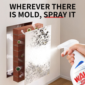 Dissolvant de moules muraux étiquette personnalisée logo usine de fabrication de produits de nettoyage OEM ODM - Product Image 5