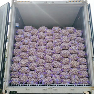 Chine <span class=keywords><strong>Acheter</strong></span> de l'ail <span class=keywords><strong>frais</strong></span> de haute qualité 10kg 20kg en gros - Product Image 6