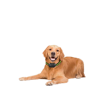 <span class=keywords><strong>Collar</strong></span> antiladridos recargable USB para perros impermeable IP67 hecho de plástico duradero - Product Image 2