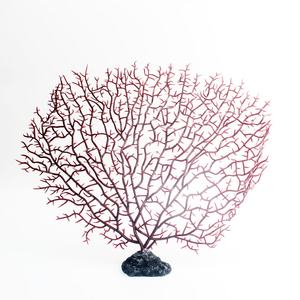 ต้นปะการังเทียม ต้นไม้น้ำประดับตกแต่งตู้ปลา <span class=keywords><strong>ราคา</strong></span>ถูก ขายส่ง - Product Image 2