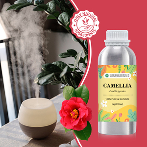 Aceite de <span class=keywords><strong>Camelia</strong></span> Japonés para el Cabello |   Aceite de Tsubaki - 100% Puro y Natural de Semillas de Camellia Japonica Prensado en Frío |   Precio al por mayor, 1 kg - Product Image 2