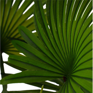 Palmier <span class=keywords><strong>tropical</strong></span> artificiel très vendu, 120 cm, en plastique, pour mariage, maison, fruits, palmiers verts, palmier en pot, intérieur, résistant aux UV - Product Image 5