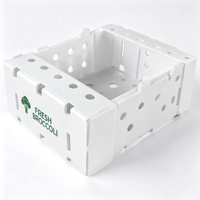Boîte d'emballage en polypropylène ondulé personnalisée pour le brocoli, pour l'exportation de légumes frais en chaîne du froid, imprimée UV, durable