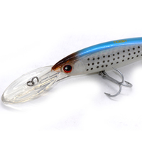 Pour les fabricants chinois de leurres de pêche, leurre artificiel flottant rigide en plastique ABS, type Minnow, avec hameçon VMC, 160 mm, pour la pêche en mer depuis bateau