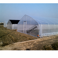 Serre de jardin en PE à double couche, petite, à simple travée, tunnel haut, accessible, avec isolation thermique et protection contre la pluie, pour légumes et fruits