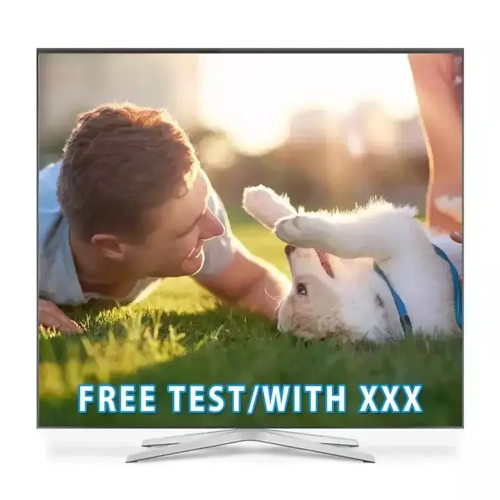 اشتراك M3U IP-TV الساخن 12 شهر يدعم 4K اختبار مجاني 24 ساعة بث مباشر لتليفزيون أندرويد ip 4k tv xxx videos