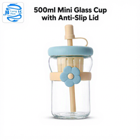 500ml Mini Glazen Tumbler met Anti-Slip Siliconen Band, Lekvrije Infuserbeker met Rietje en Stofkap voor Thee Fruit Water