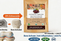 Capsules d'extrait de Cistanche Tubulosa 70% Phytoglycosides 25% Échinacoside 10% Acteoside Complément Alimentaire pour l'Activation Osseuse et le Renforcement Articulaire OEM