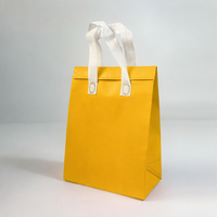 Sac isotherme personnalisé en tissu non tissé écologique avec doublure en aluminium, résistant à l'eau, pour l'emballage des aliments et des boissons