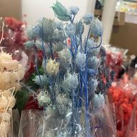 Großhandel für Konservierte Nigella-Blumen, Natürliche Getrocknete Blumen, Damascena Nigella Gras für Hochzeits- und Valentinstagsdekorationen