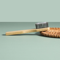 Kit de brosse à dents de voyage miniature en bambou avec brosses à dents à poils doux