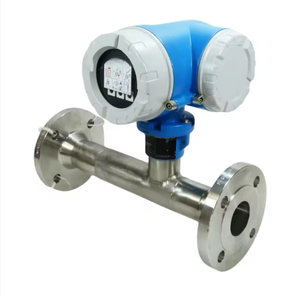 Medidor de Flujo Másico Térmico E+H 6F5B para Gases, Dispositivo de Medición Digital - Product Image 2