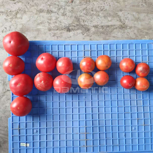 آلة فرز الفواكه والخضروات متعددة الوظائف مصنوعة بالكامل من الفولاذ المقاوم للصدأ 304 لفرز التوت والتمر حسب الحجم - Product Image 5