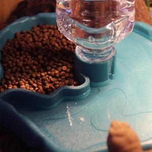 Dispensador de Agua y Alimentador Automático 2 en 1 para Reptiles, Bandeja de Agua y <span class=keywords><strong>Comida</strong></span> para Tortugas, Accesorios para Terrarios, Tazón de Agua para Mascotas Pequeñas - Product Image 5
