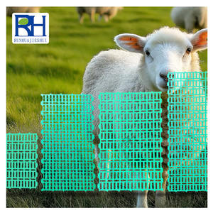 Placas Impermeables y Duraderas para Excrementos <span class=keywords><strong>de</strong></span> Ovejas, Aves y Cerdos, 3 Metros <span class=keywords><strong>de</strong></span> Largo, Material Plástico Puro, Equipo para el Manejo <span class=keywords><strong>de</strong></span> Estiércol - Product Image 3