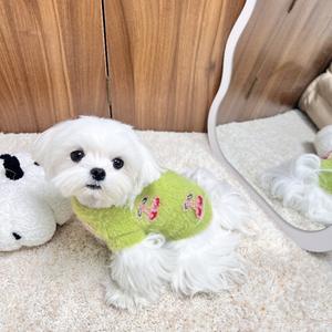 Chaleco de Piel Sintética para Mascotas de Invierno, Suéter de Punto para Gatos sin Pelo, Estilo Casual, Suéter Dulce con Diseño de Cerezas, Accesorios para Gatitos, Atractivo para Cachorros - Product Image 2