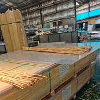 Panel de Policarbonato de 8mm y 10mm, Paneles de Bambú Tipo Lámina, Panel Hueco Tipo Bambú con Lámina de Policarbonato