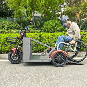 Triciclo Eléctrico de Movilidad para <span class=keywords><strong>Discapacitados</strong></span> en Oferta, Diseño de 3 Ruedas con Potente Batería de Plomo-Ácido para un Viaje Seguro - Product Image 4