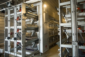 Sıcak satış tavuk Broiler kafes sistemi için et tavuk kafesi broiler tavuk için - Product Image 6
