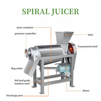 Commerciële Fruitpulper Kleine Kokosmelk Juicer Machine Biet Apple Caraud Sap Maken Persmachine