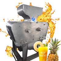 Machine de traitement du jus d'ananas, projet clé en main, usine complète personnalisable pour la transformation de l'ananas/du nanas, machine de traitement des fruits