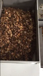 Mesin Penyortir Almond Kacang Penyortir Penyortir Warna untuk Pemisah Kacang dan Cangkang Di Yunani