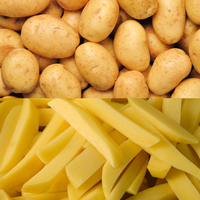 Automatische aardappelsnijmachine Groentensnijmachine Cassavechips Snijmachine Groentesnijmachine