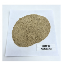 Culture pure d'Acetobacter 10 milliards UFC en poudre pour la fermentation de l'acide acétique, sacs kraft de 25 kg, durée de conservation de 12 mois, étanche