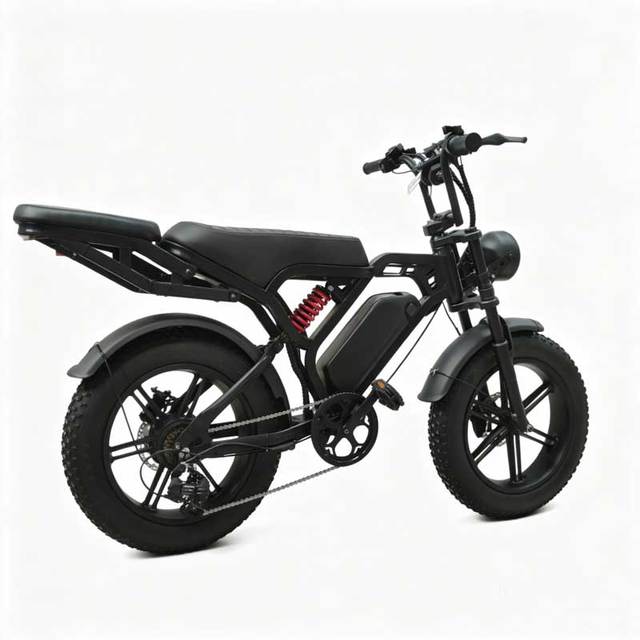 China 20 Inch Adults Electric Bicycle 7 Speed Digital Mountain Bike with Electronic Cycle Smart Digital Electric Cycle