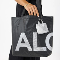 Aloha Classic Grid Mini Tote Tyvek Porte-monnaie Porte-clés Dupont Papier Petit sac à monnaie avec porte-clés