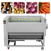 Machine à laver et à peler le manioc 1000 kg/h avec brosse rotative pour la Côte d'Ivoire, le Cameroun, le Congo - Transformation alimentaire