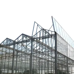 Multispan कृषि ग्लास ग्रीनहाउस उत्पादन उपकरण