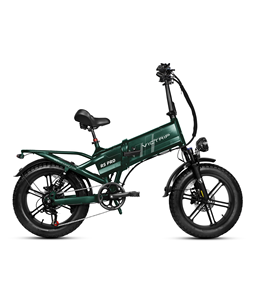 Vélo électrique en gros depuis l'entrepôt UE, <span class=keywords><strong>moteur</strong></span> brushless 750W, batterie lithium 48V 55Ah, Victric R5pro - Product Image 4
