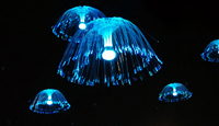 Lampe à projection d'étoiles à fibres optiques grand format - Plafonnier blanc chaud avec plus de 1000 extrémités de fibres optiques, fibre optique plastique classée IP65