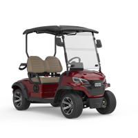 Vente à prix d'usine, tout nouveau buggy de golf électrique 2 places, faible entretien, chariot de golf électrique 2 places avec batterie au lithium