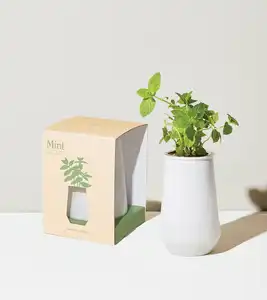 Tapered Tumbler Grow Kits Window Starter Kit Unique Gardening Gifts Kitchen Windowsill kit plant Grow For Kids