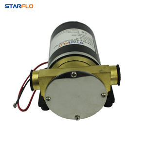 Pompe à eau centrifuge auto-amorçante miniature Dafele 12V/24V pour pont de yacht marin, pompe à eau de refroidissement et de rinçage - Product Image 1